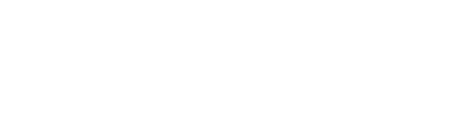 Conssolida