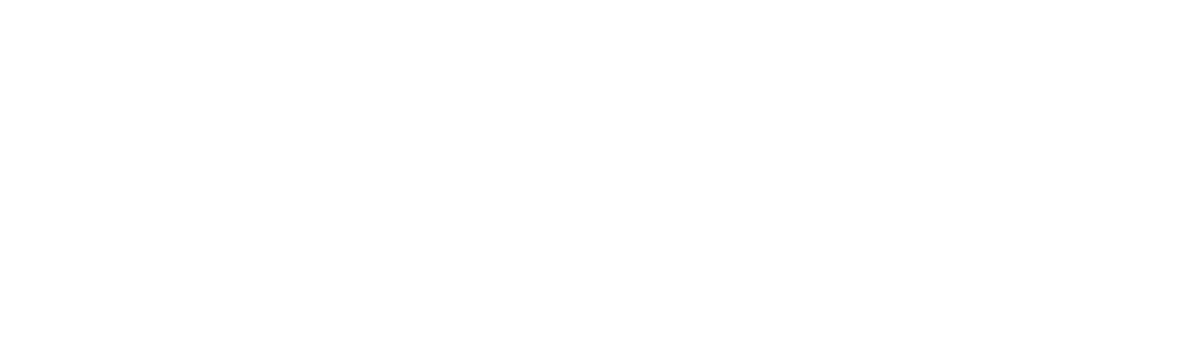 Conssolida